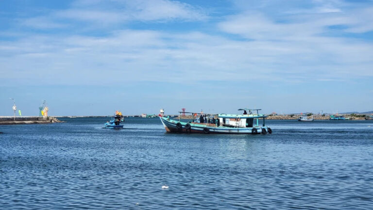 Kiên Giang: Giá trị sản xuất thủy sản hơn 3.685 tỷ đồng