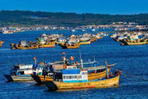 Bình Thuận: Hơn 1.400 tàu cá chưa có hoặc hết hạn giấy phép…