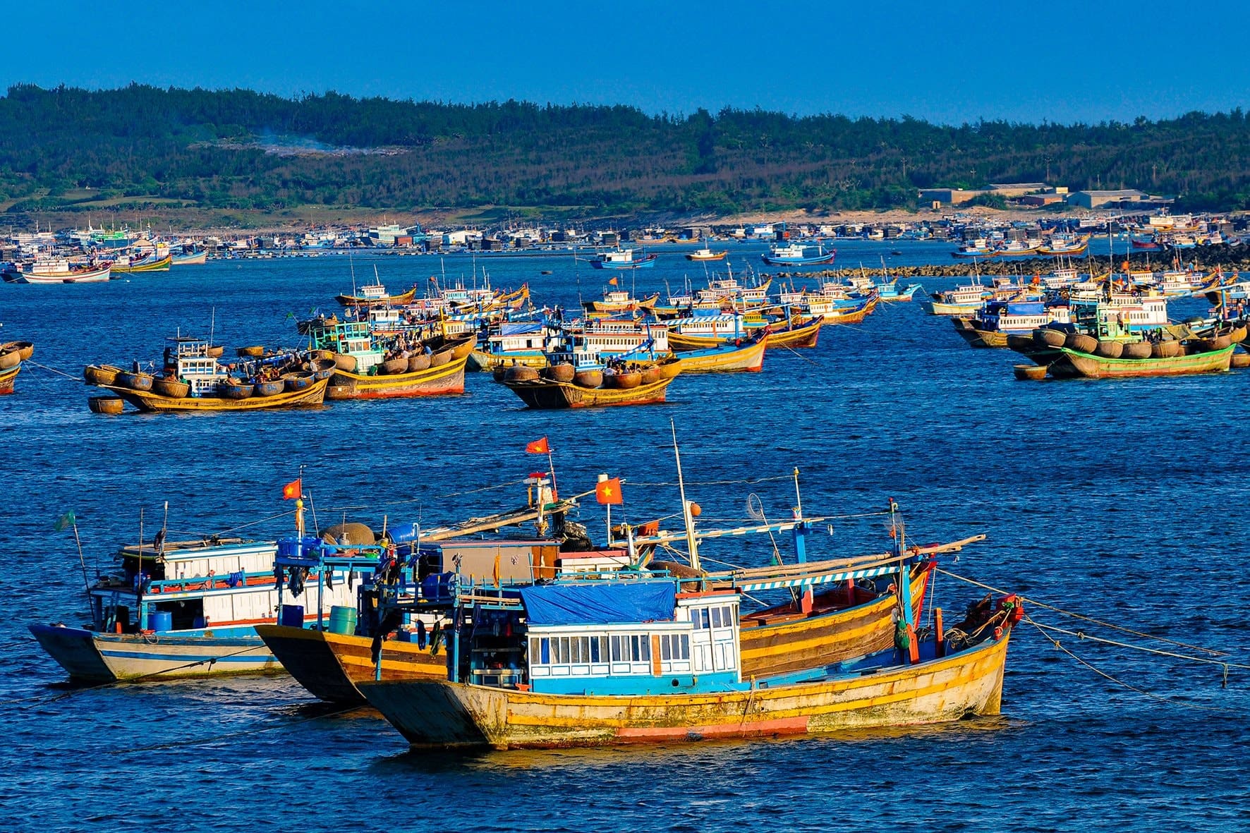 Bình Thuận: Hơn 1.400 tàu cá chưa có hoặc hết hạn giấy phép khai thác thủy sản
