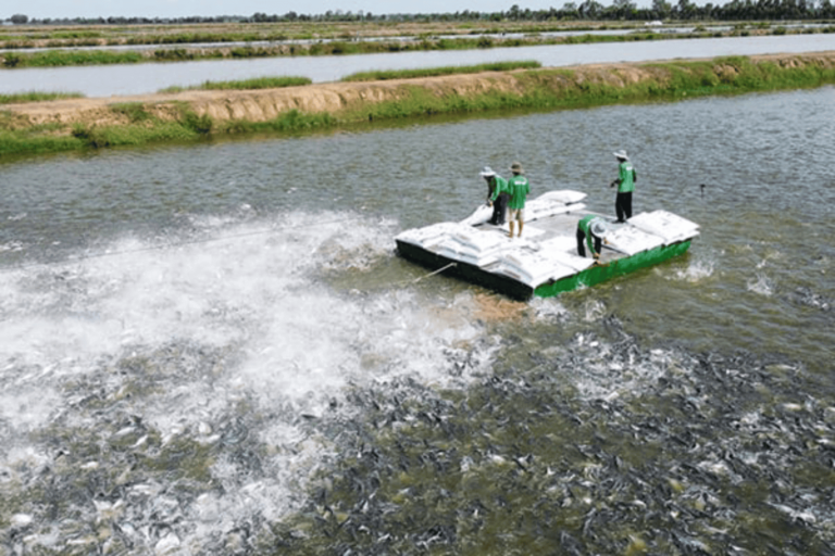 Thủy sản Việt Nam sẽ chủ động không tăng trưởng đối với thị&hellip;