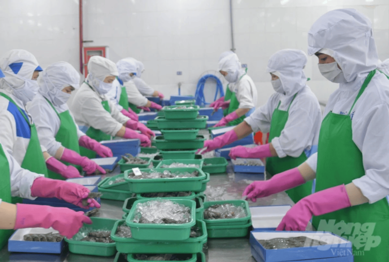 Kiên Giang điều chỉnh tốc độ tăng trưởng kinh tế đạt từ 8%…