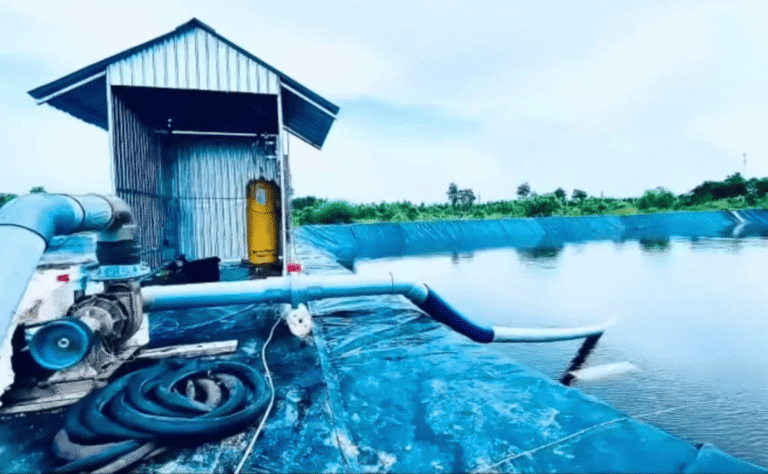 Hiểm họa khôn lường từ sử dụng clo lỏng trong xử lý nước…