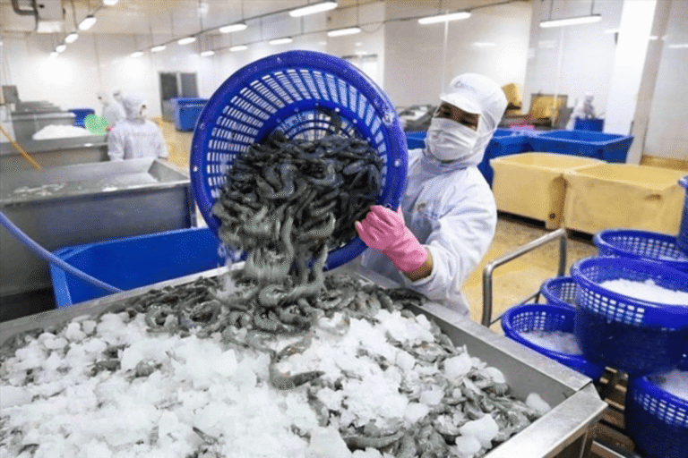 ‘Bơm’ 100.000 tỷ đồng cho doanh nghiệp nông, lâm, thủy sản