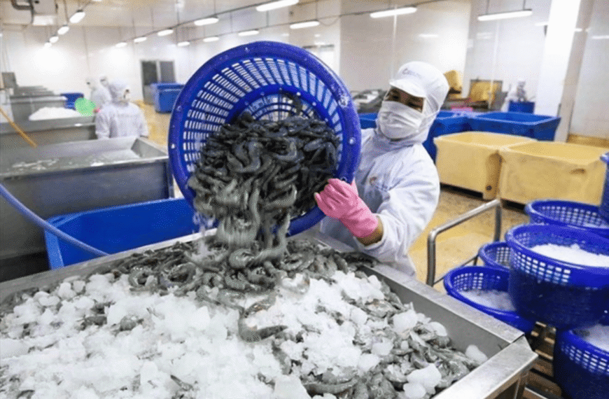 ‘Bơm’ 100.000 tỷ đồng cho doanh nghiệp nông, lâm, thủy…