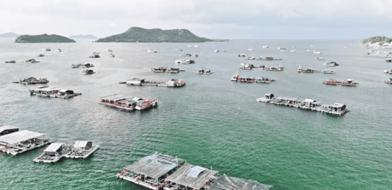 Kiên Giang định hướng phát triển bền vững ngành thủy sản