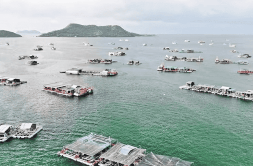 Kiên Giang định hướng phát triển bền vững ngành thủy…