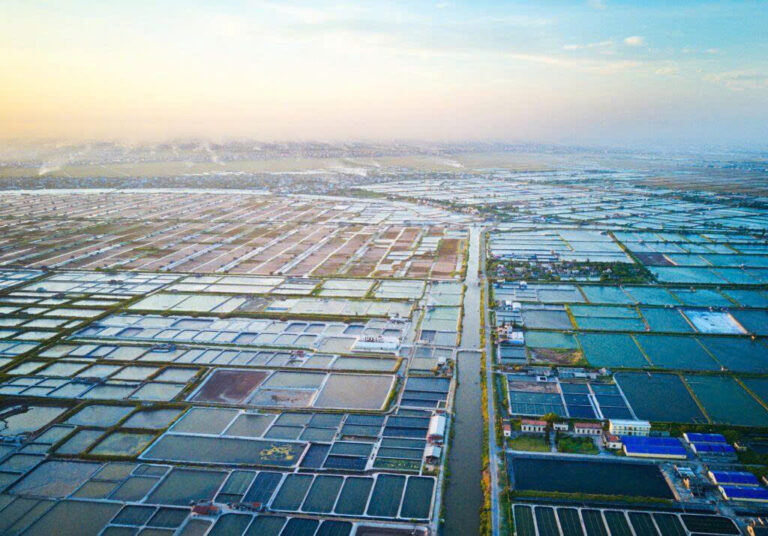 Các chiến lược kiểm soát Hội chứng hoại tử gan tụy cấp tính&hellip;