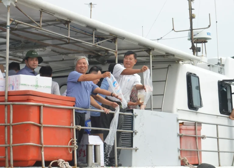 Gần 10 triệu con giống về biển tái tạo nguồn lợi thủy sản