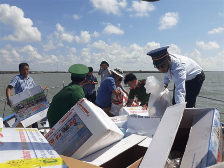 Cà Mau: Gần 3 triệu con tôm giống thả về biển