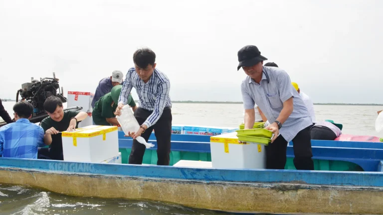 Kiên Giang thả gần 10 triệu con giống tái tạo nguồn lợi thủy&hellip;