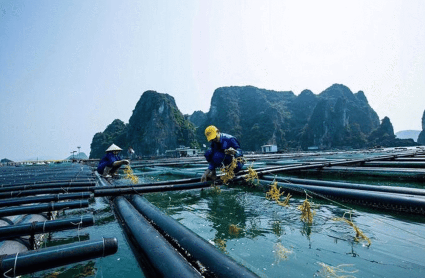 Thời hạn giao biển cho nuôi trồng thủy sản không…