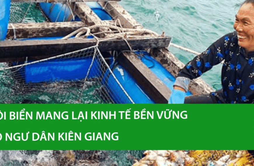 Nuôi biển mang lại kinh tế bền vững cho ngư…