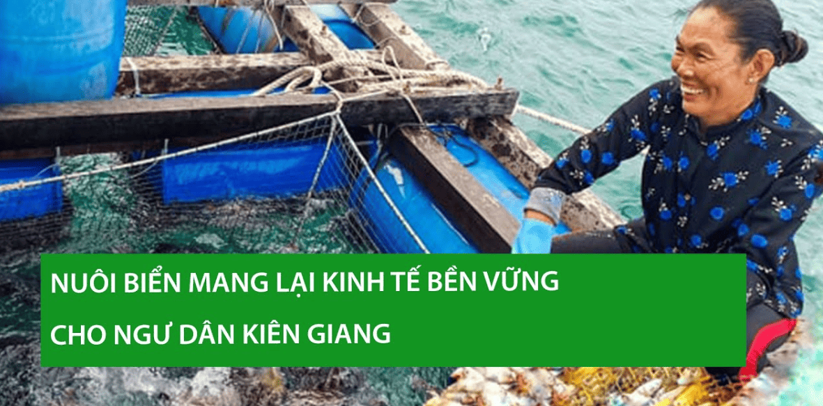 Nuôi biển mang lại kinh tế bền vững cho ngư dân Kiên Giang