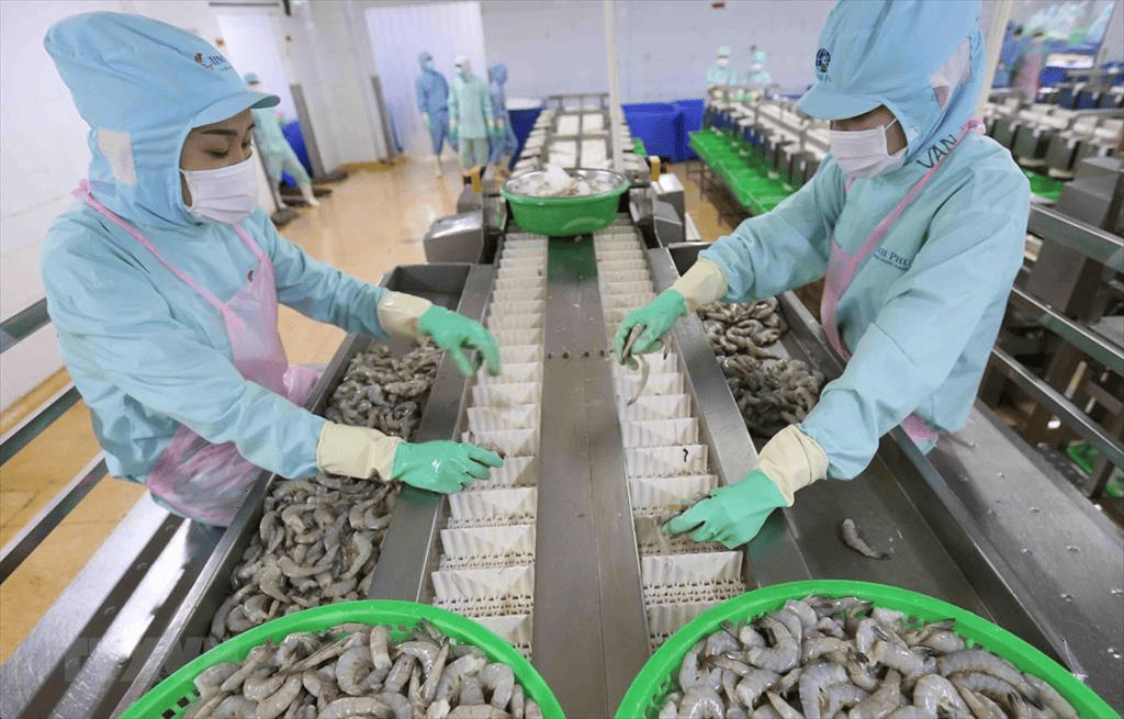 Tôm chân trắng dẫn dắt tăng trưởng, tôm sú phục hồi ở phân khúc cao cấp tính đến tháng 5, liệu có chững lại trong tháng 6?