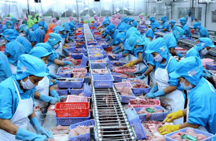 Ngành thủy sản Việt Nam và chi phí…