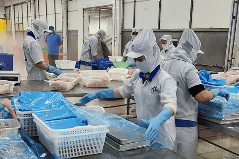 Kiến nghị Bộ Tư pháp gỡ vướng quy định pháp luật cho doanh nghiệp thủy sản